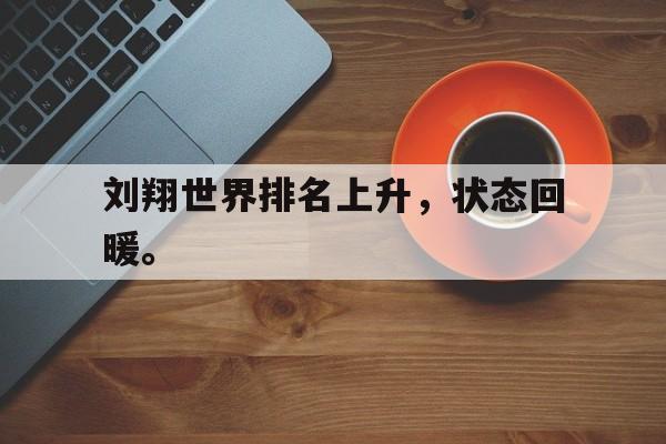 IMdianjing-刘翔世界排名上升，状态回暖。